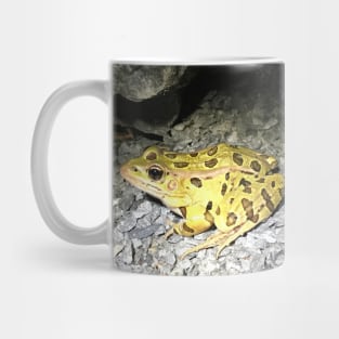 Frog Unit Mug